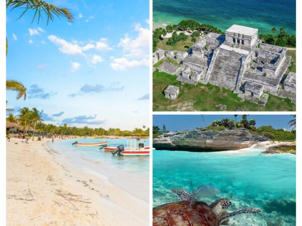 Tulum Akumal nado con tortuga