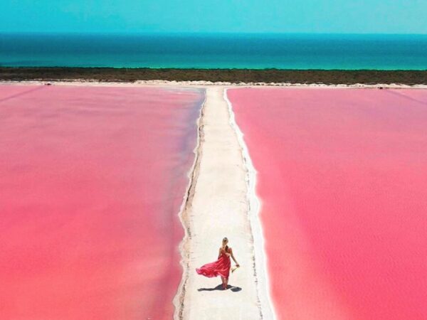 Tour Coloradas + Río Lagartos